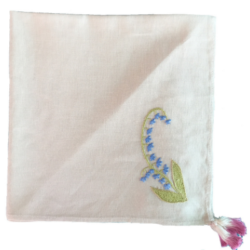 NAPKIN